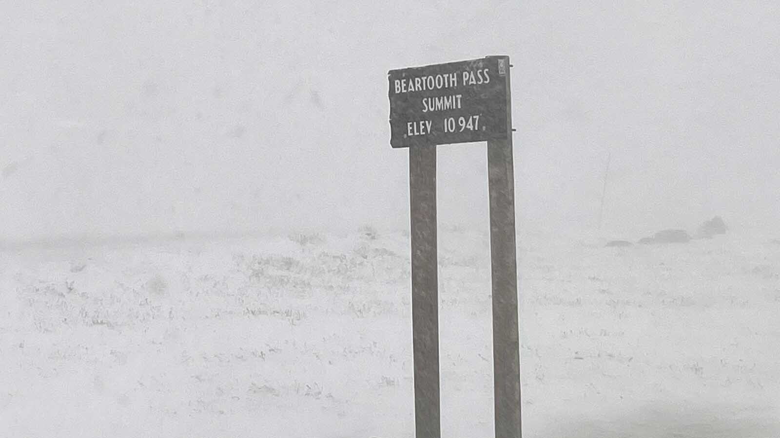 Wyoming photographer Dave Bell got caught in a blizzard on the Beartooth Highway on Thursday, Sept. 12, 2024. It left a distinct wintery scene all around the Wyoming high country.