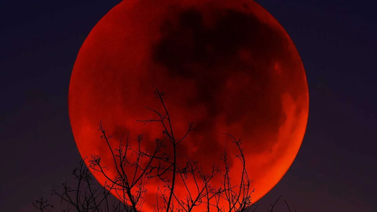 Blood moon eclipse JG Photography via Alamy 3 1 26
