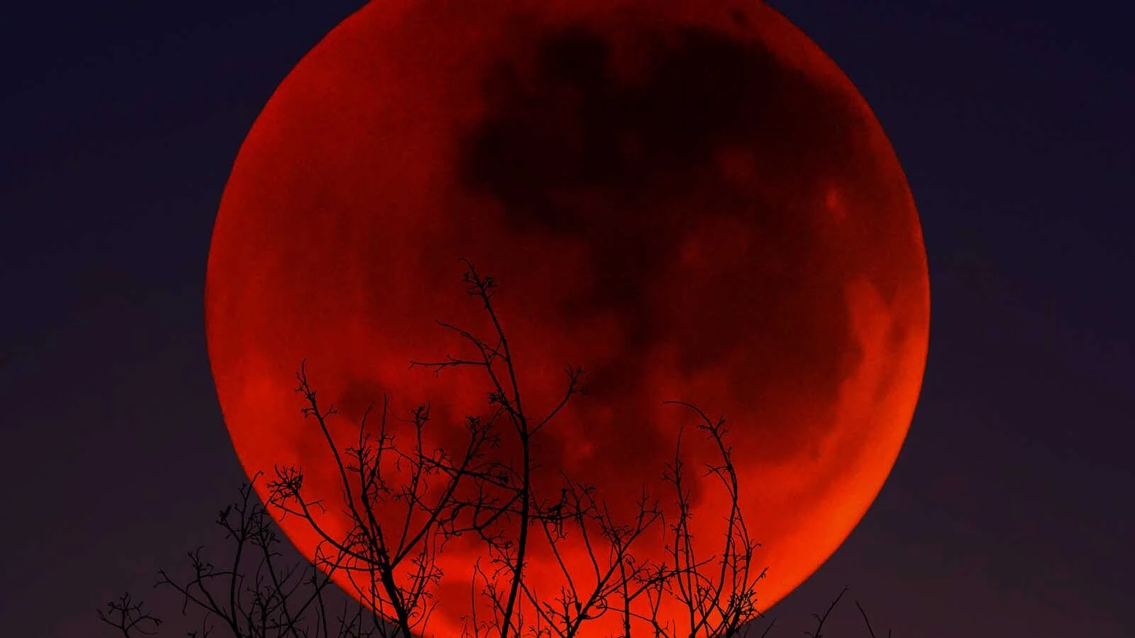 Blood moon eclipse JG Photography via Alamy 3 1 26