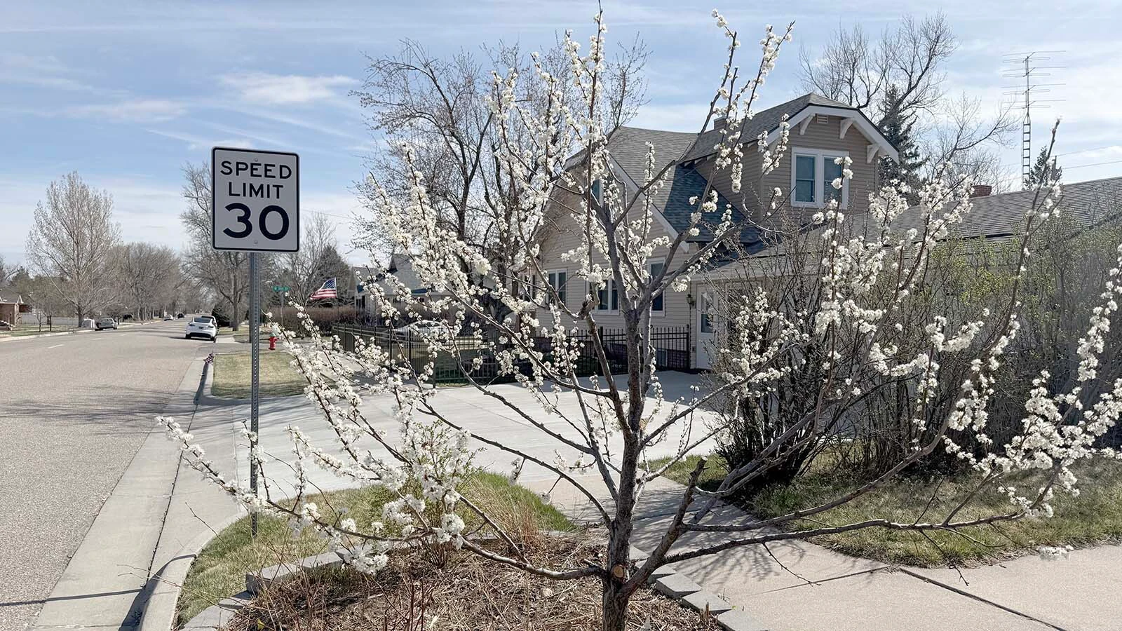After the warmest winter in Wyoming's history, trees in southern Wyoming are starting to bloom. Shane Smith, former director of the Cheyenne Botanic Gardens, said it's the earliest bloom he's ever seen. Here, a blooming plum tree in Cheyenne.