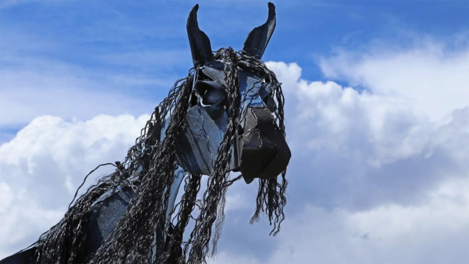What The Heck … Is That Herd Of 39 Blue Steel Horses On A Montana 