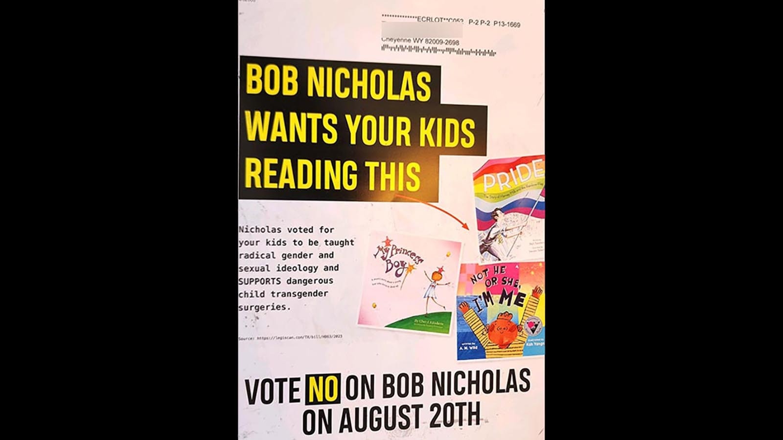 A campaign mailer targeting state Rep. Bob Nicholas that has the longtime incumbent fuming.