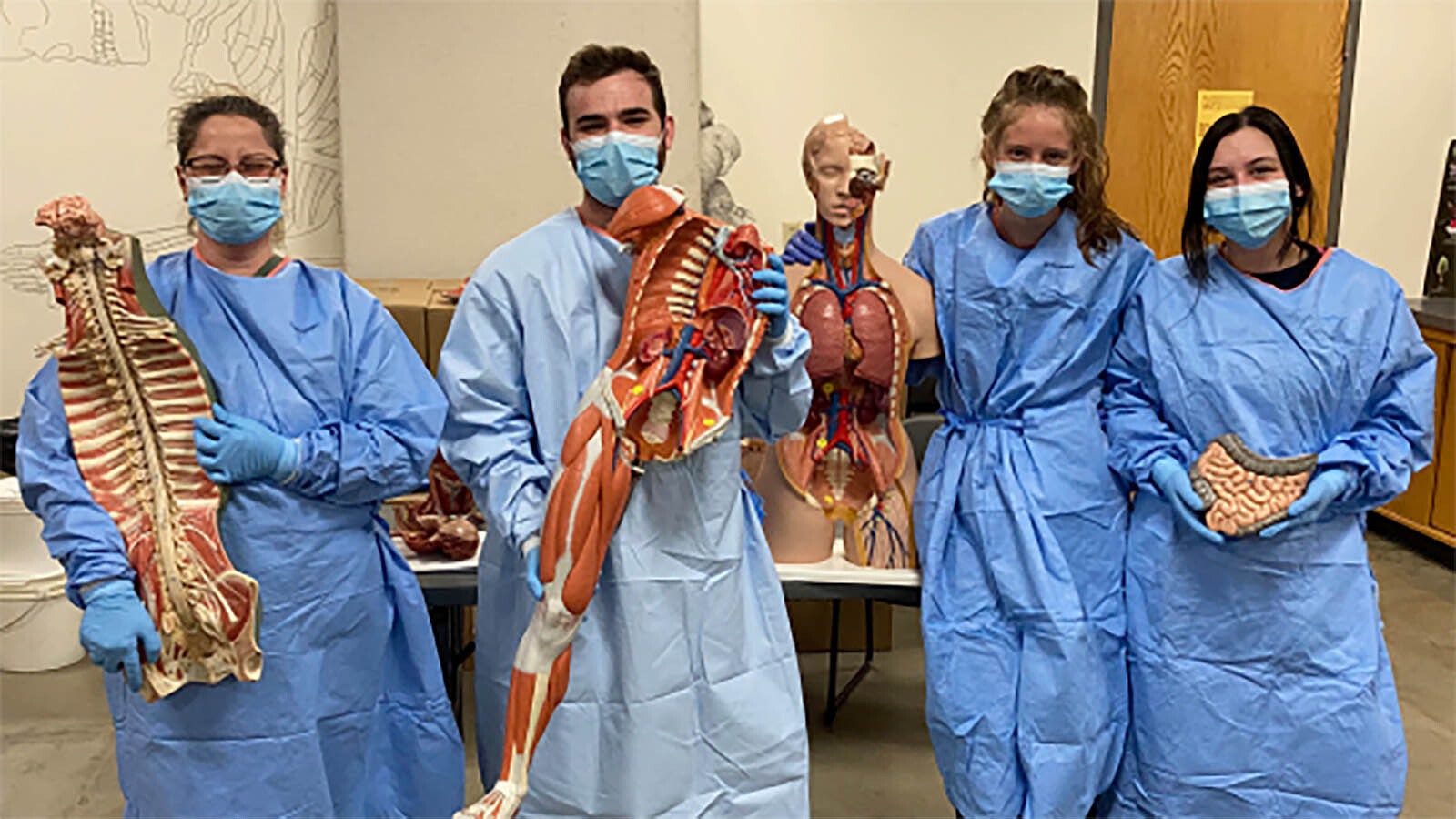 Students at Casper College study first study anatomy on models before being accepted into the actual cadaver lab.