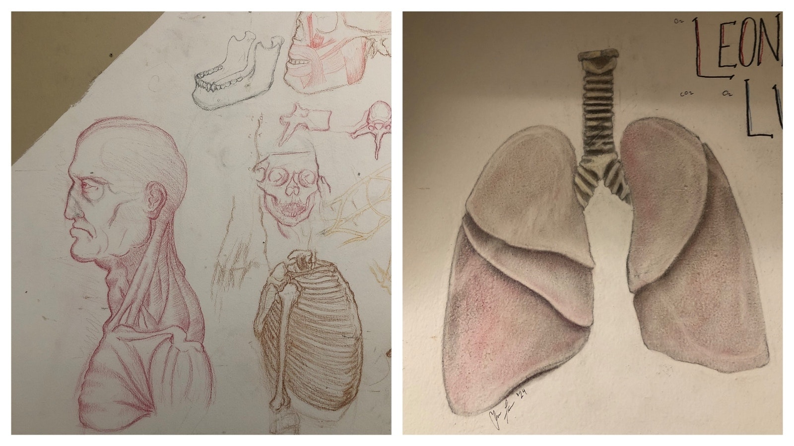 Students working in the Casper College cadaver lab are encouraged to illustrate their interpretation and perception of what they see.