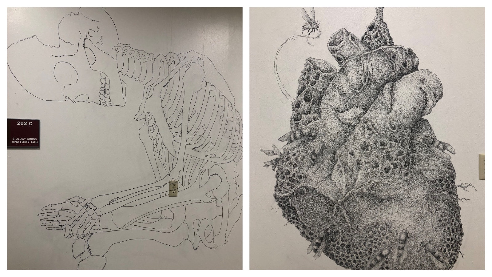 Left, students in the cadaver lab at Casper College sign their names on the skeleton as they participate in the course. They also are encouraged to illustrate their interpretation and perception of what they see.