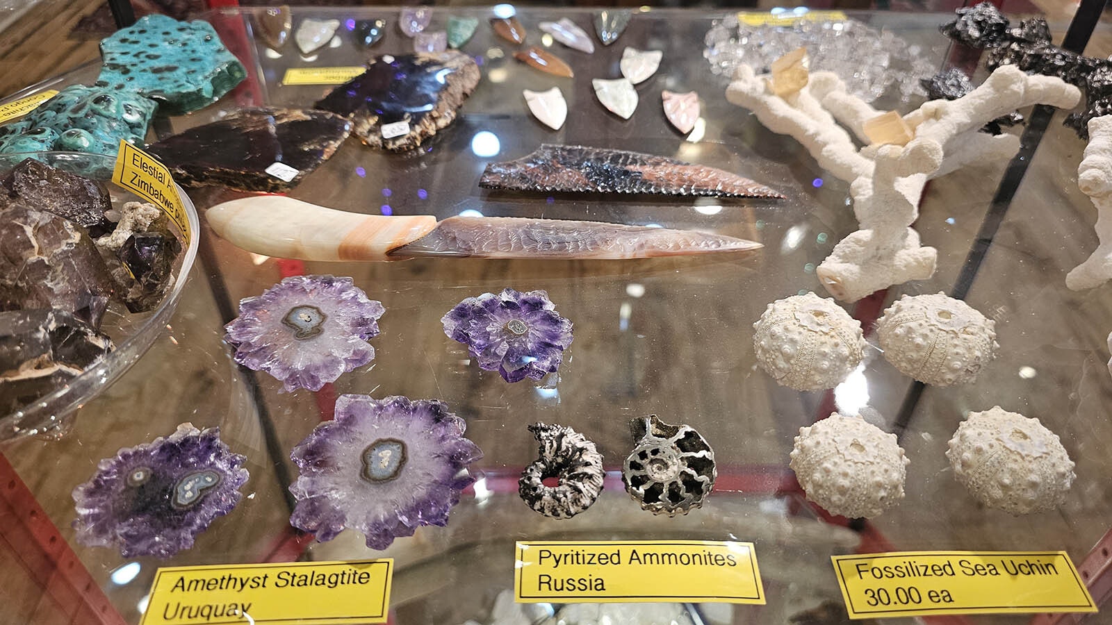 Ammonites fossilized sea urchins stalactite and other curiosities at Bohemian Metals.