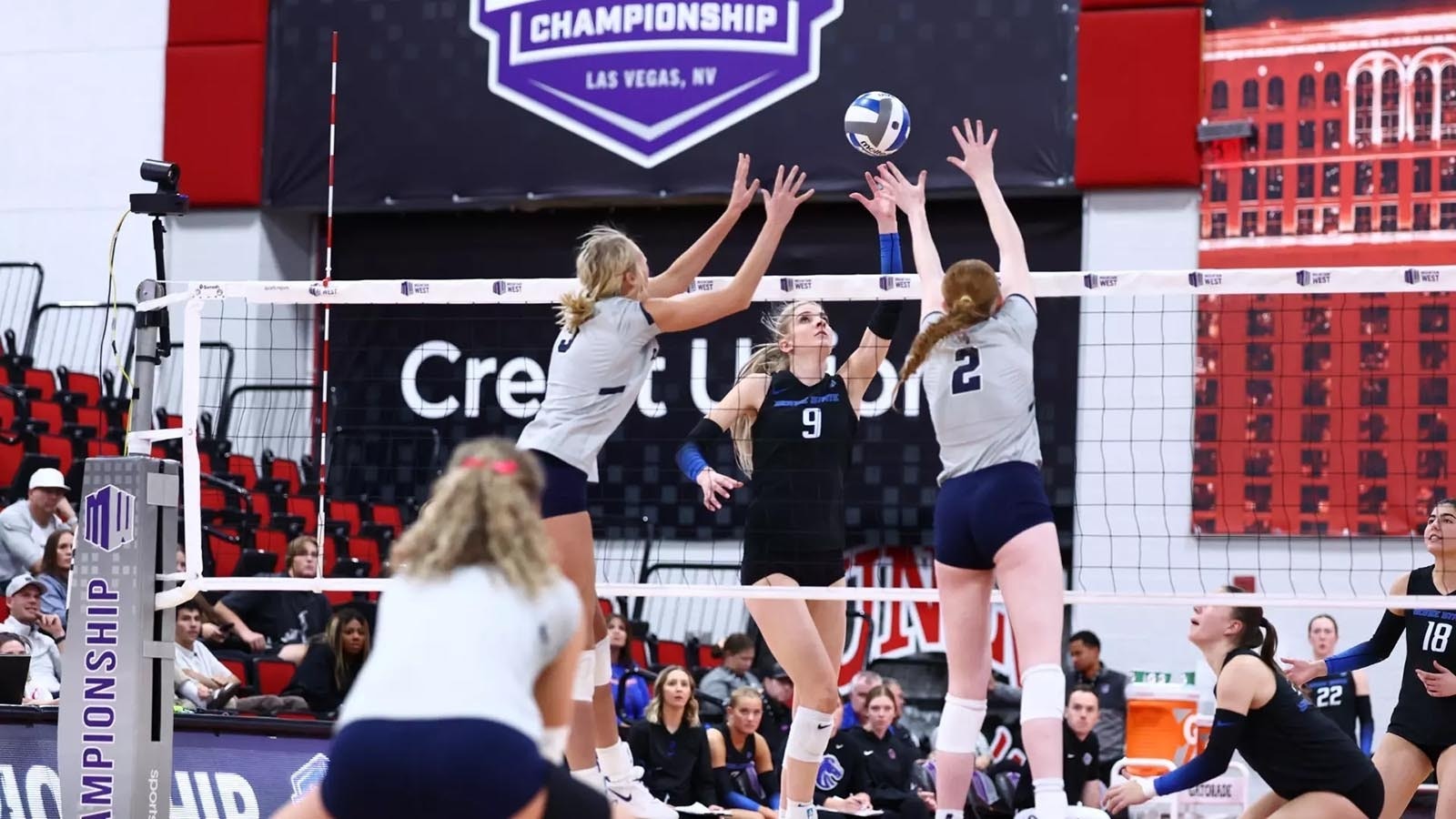 Boise State University beat Utah State on Wednesday, Nov. 27, 2024, to advance to the Mountain West Conference volleyball tournament's semifinals. Then Boise State announced it will boycott that match and not play against San Jose State, which has a transgender player in its lineup.