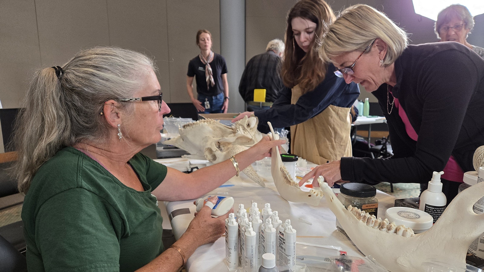 Draper Museum volunteer Susan Bishop, from left, conservation intern Eleanor Lieberman and advisory board member Jill Sholly work on the skull and mandible of the bison.