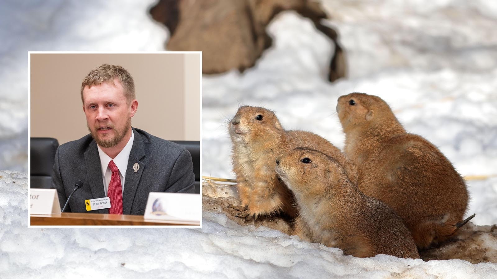 State Rep. Brian Boner says as bill to allow shooting prairie dogs from vehicles isn't about sport, it's about pest management.