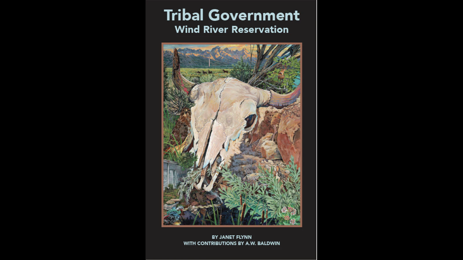 The Wyoming Humanities Council helped fund a book about the tribal government on the Wind River Indian Reservation. Former Director Shannon Smith said that it is the only book like it about a modern tribal government.  