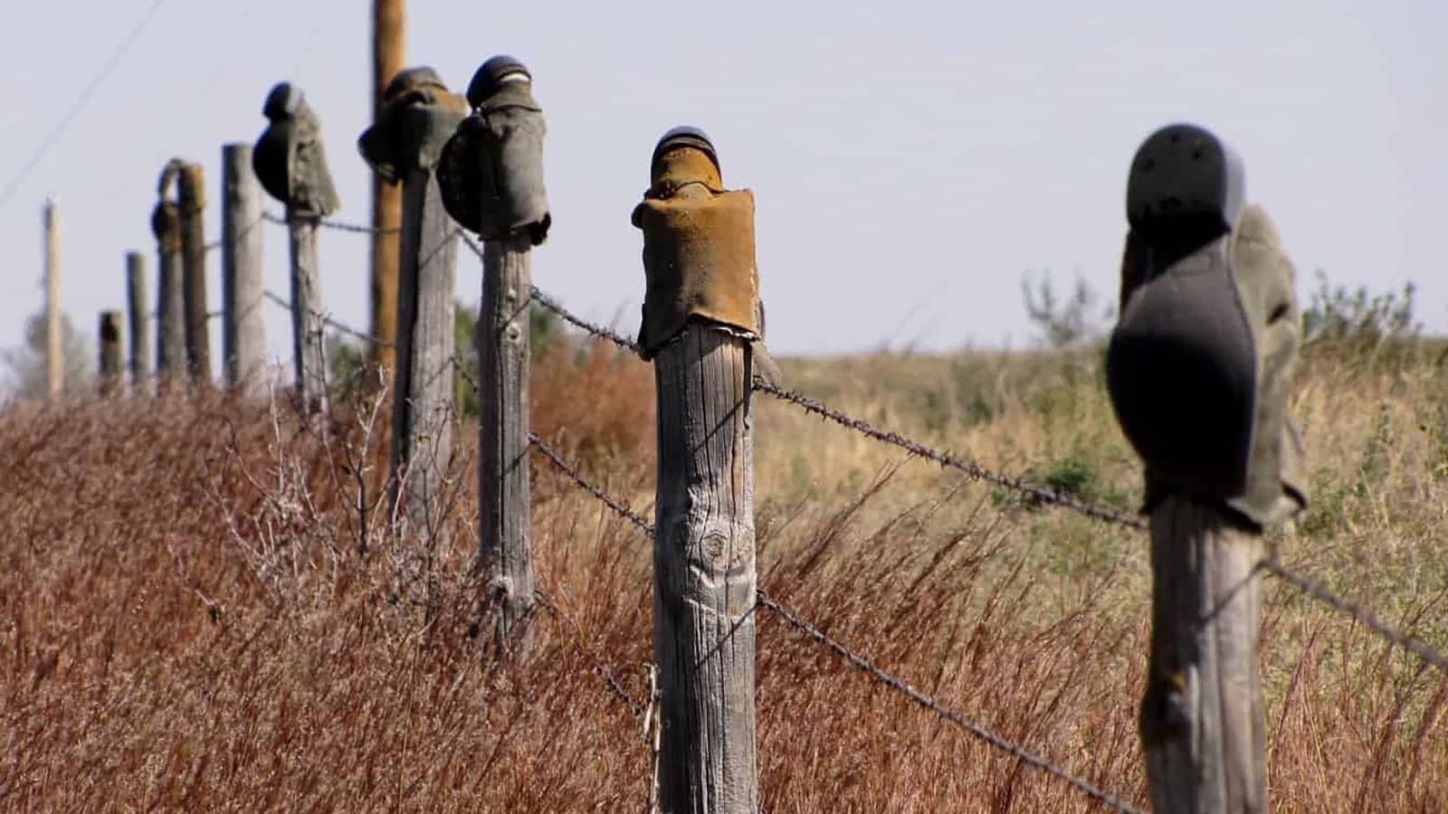 Old cowboy boots stuck upside down on fence posts can mean many things. They can be there to honor beloved horses, fallen cowboys or just to look cool. One thing’s for sure — it’s just Western.