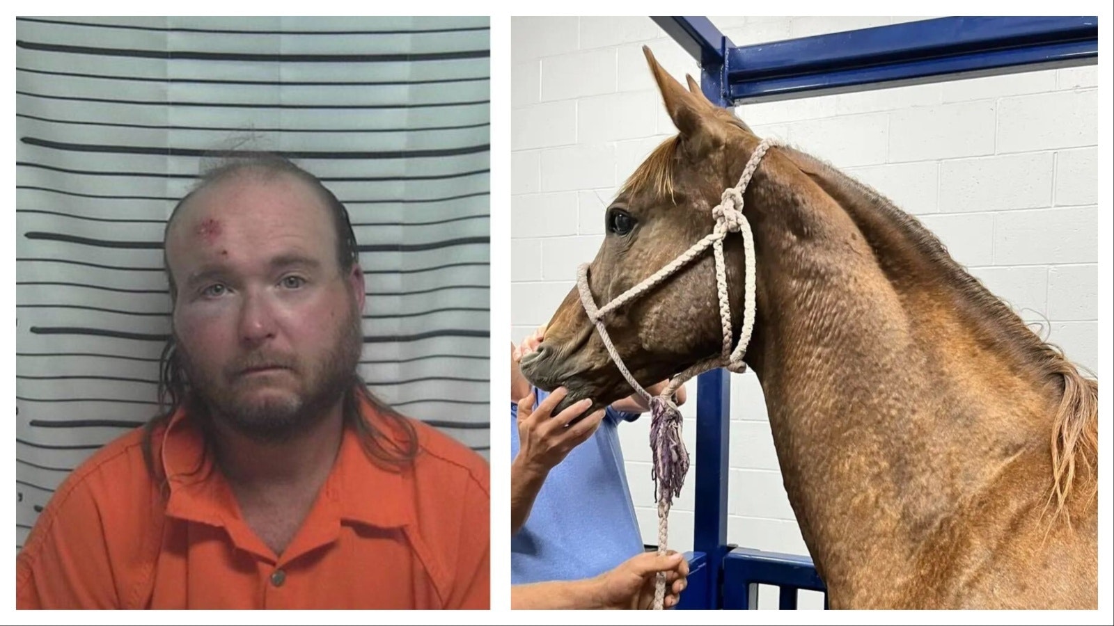 James Botkin, left, was allegedly caught sexually attacking a Texas couple's mare early Sunday morning in Evanston, Wyoming.