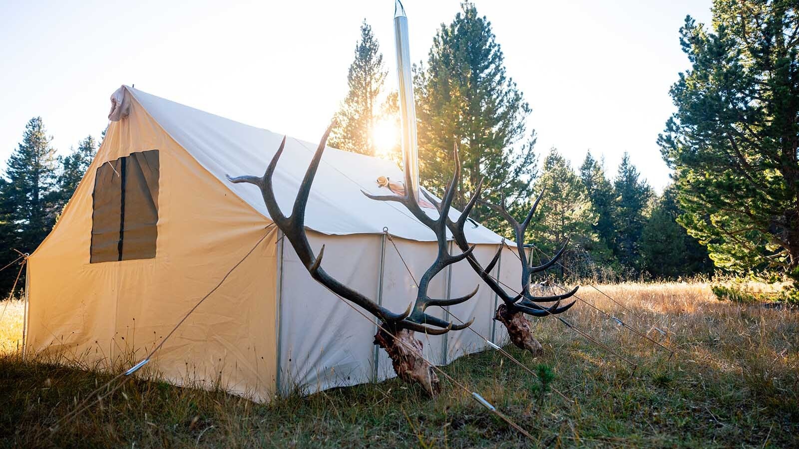 Wyoming’s archery hunters are the first hunters to head afield. Archery seasons for antelope start in August, and deer and elk seasons start in September.