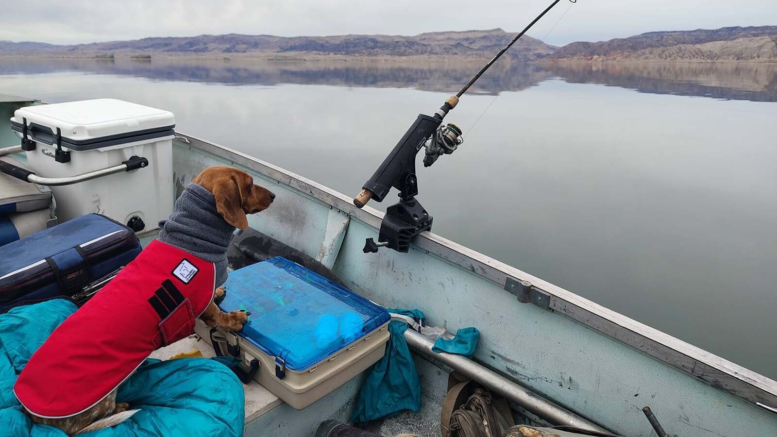 Colter Guthrie of Riverton, and his Dachshund Pumpkin, fished at Boysen Reservoir in Fremont County on New Year's Day from a boat, along with his Dachshund, Pumpkin, and caught nine fish.