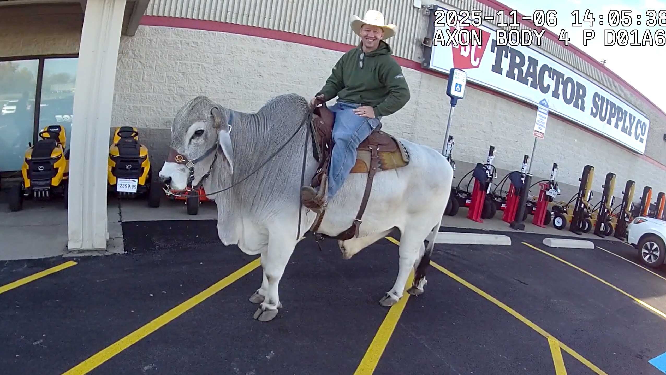 Brahma bull rider 1 11 7 25