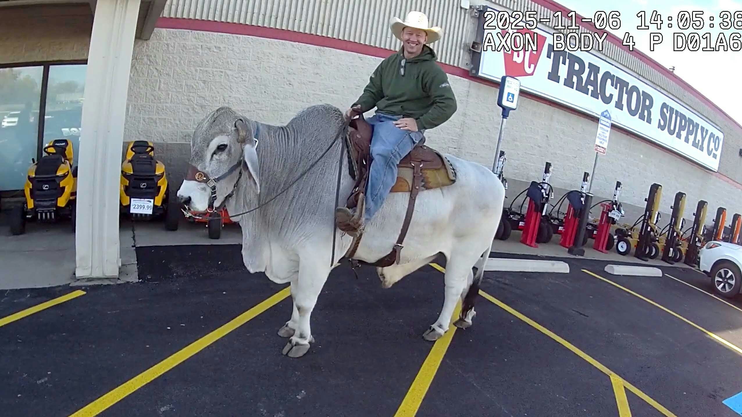 Brahma bull rider 1 11 7 25