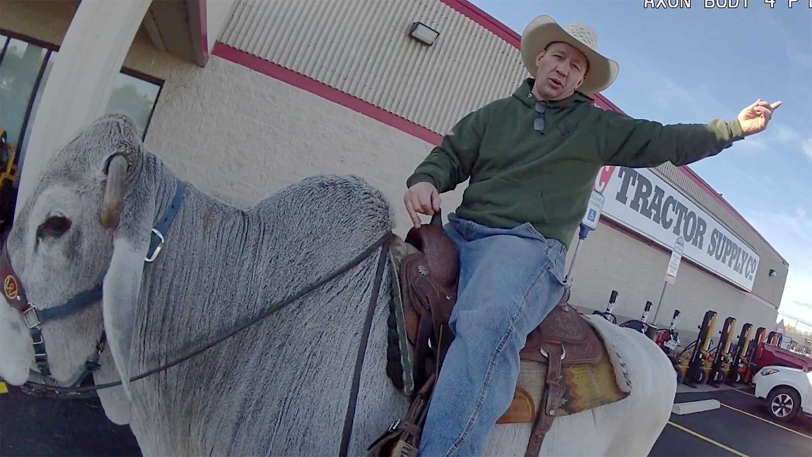 Brahma bull rider 3 11 7 25