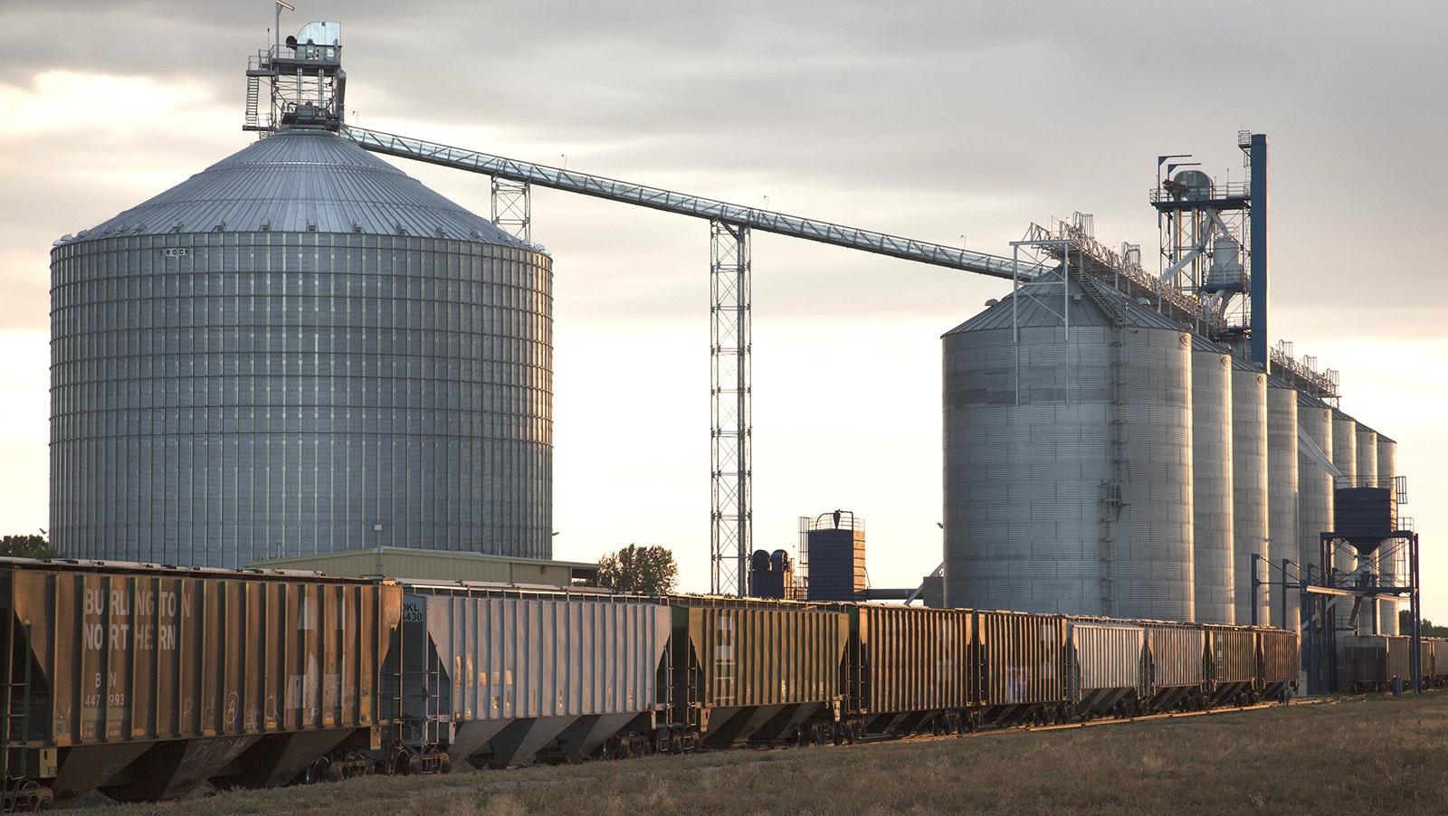 Large silos collect barley for Briess Malt and Ingredient Co. in Wyoming, ready to ship to brewery customers.