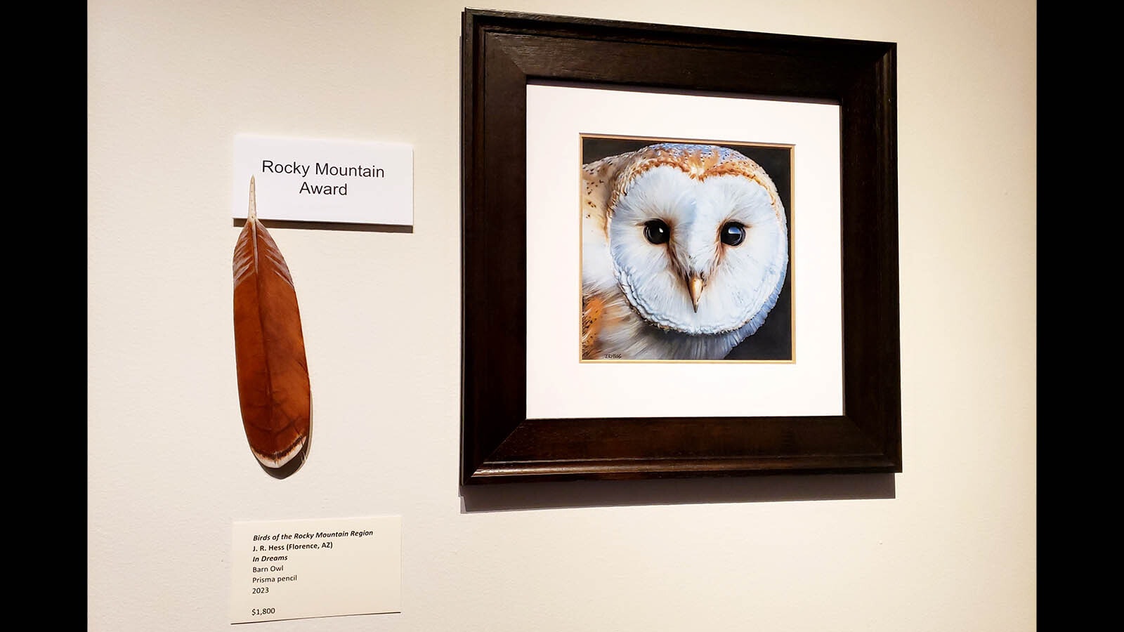 Birds of the Rocky Mountains are on display on the walls of the Brinton Museum.