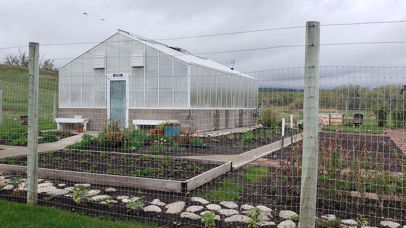 Greenhouse on the Bradford Brinton ranch.