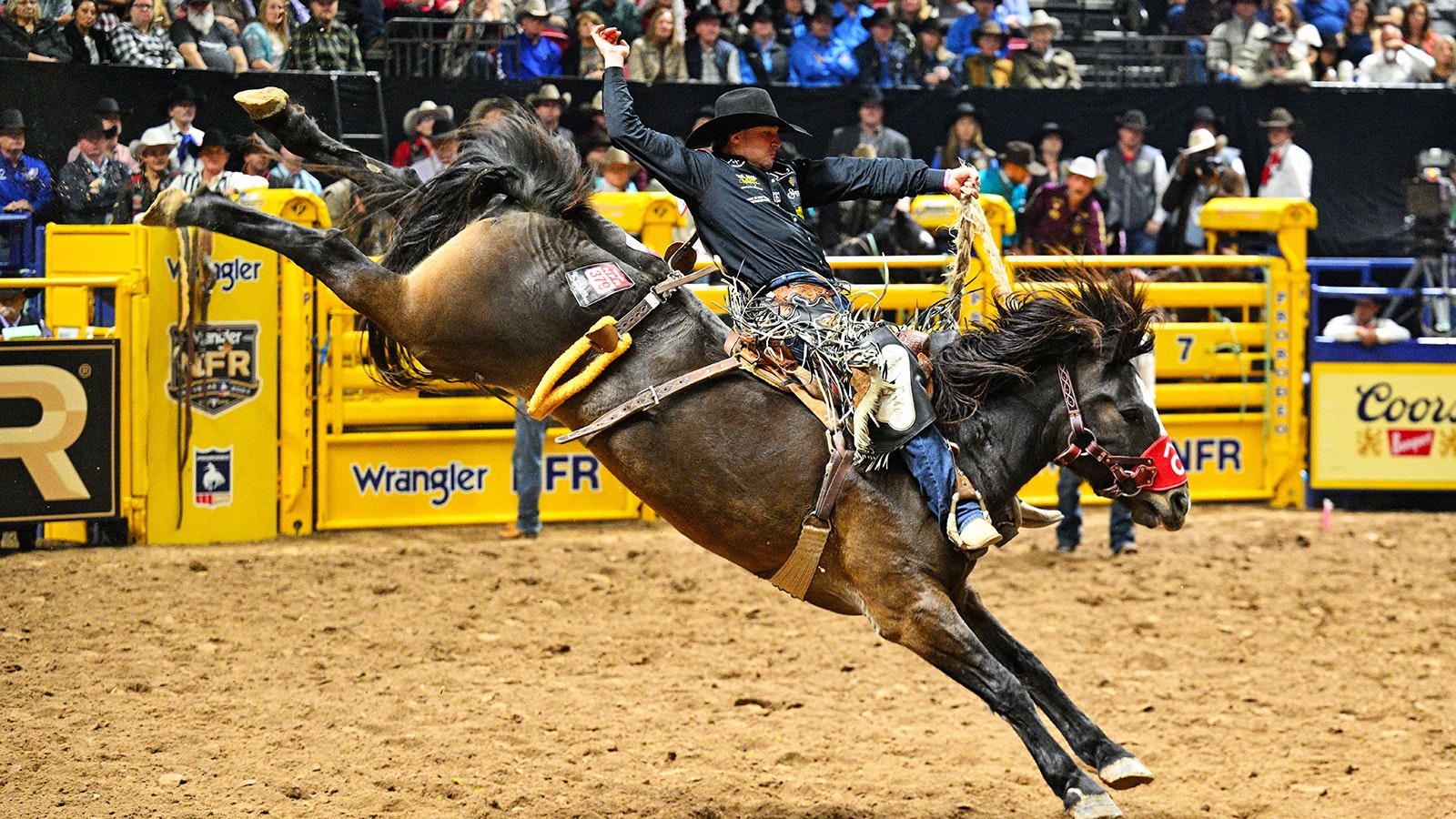 Saddle Bronc rider Brody Wells rides Resistol's Pretty Woman of Pete Carr Pro Rodeo for 90 points to win Round 2 of the National Finals Rodeo at the Thomas & Mack Center in Las Vegas on Dec 6, 2024.