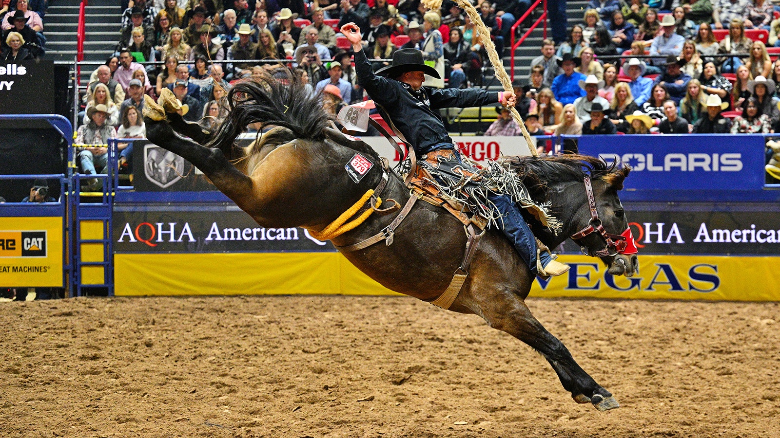 Saddle Bronc rider Brody Wells rides Resistol's Pretty Woman of Pete Carr Pro Rodeo for 90 points to win Round 2 of the National Finals Rodeo at the Thomas & Mack Center in Las Vegas on Dec 6, 2024.