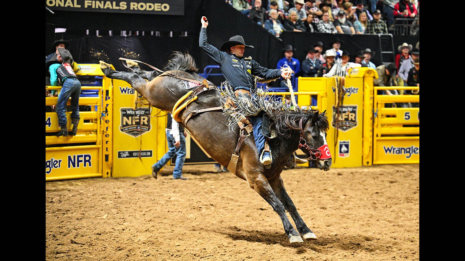 Saddle Bronc rider Brody Wells rides Resistol's Pretty Woman of Pete Carr Pro Rodeo for 90 points to win Round 2 of the National Finals Rodeo at the Thomas & Mack Center in Las Vegas on Dec 6, 2024.