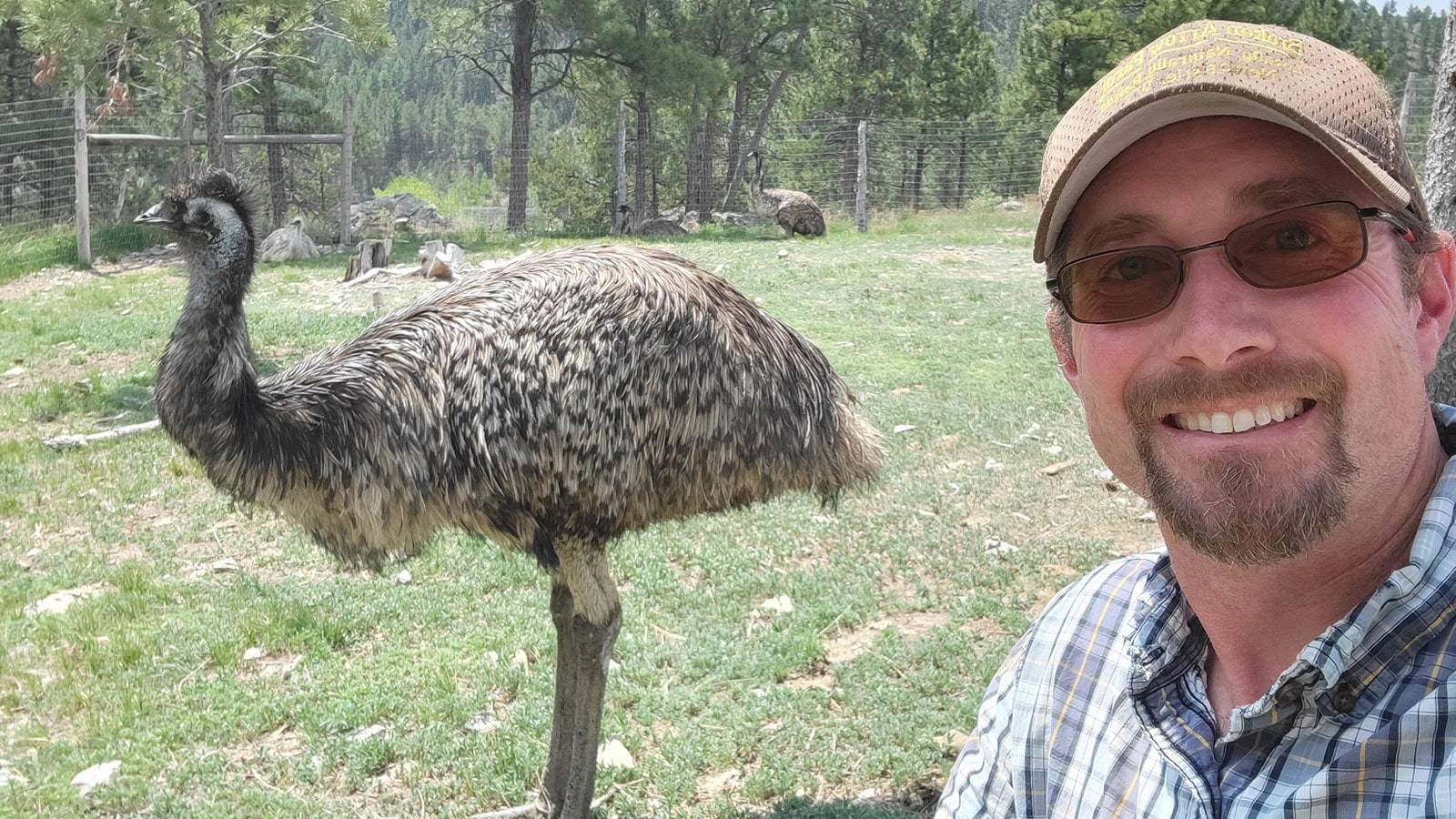 Newcastle farmer Paul Eitel with one of his emus.