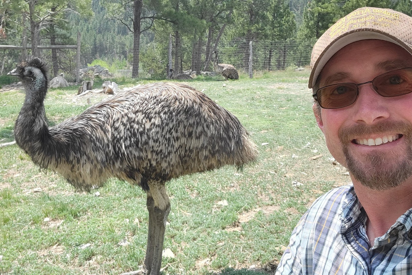 Newcastle farmer Paul Eitel with one of his emus.