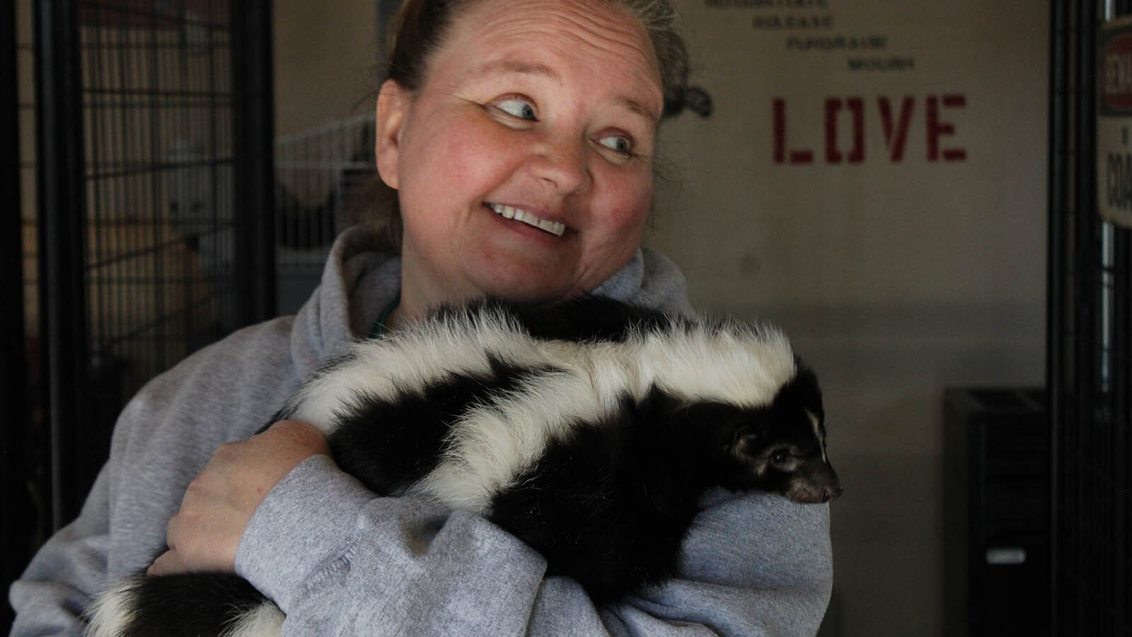 Stinkerbell, a rescued skunk, cuddles with volunteer Valarie Fish at the Broken Bandit Wildlife Center east of Cheyenne.