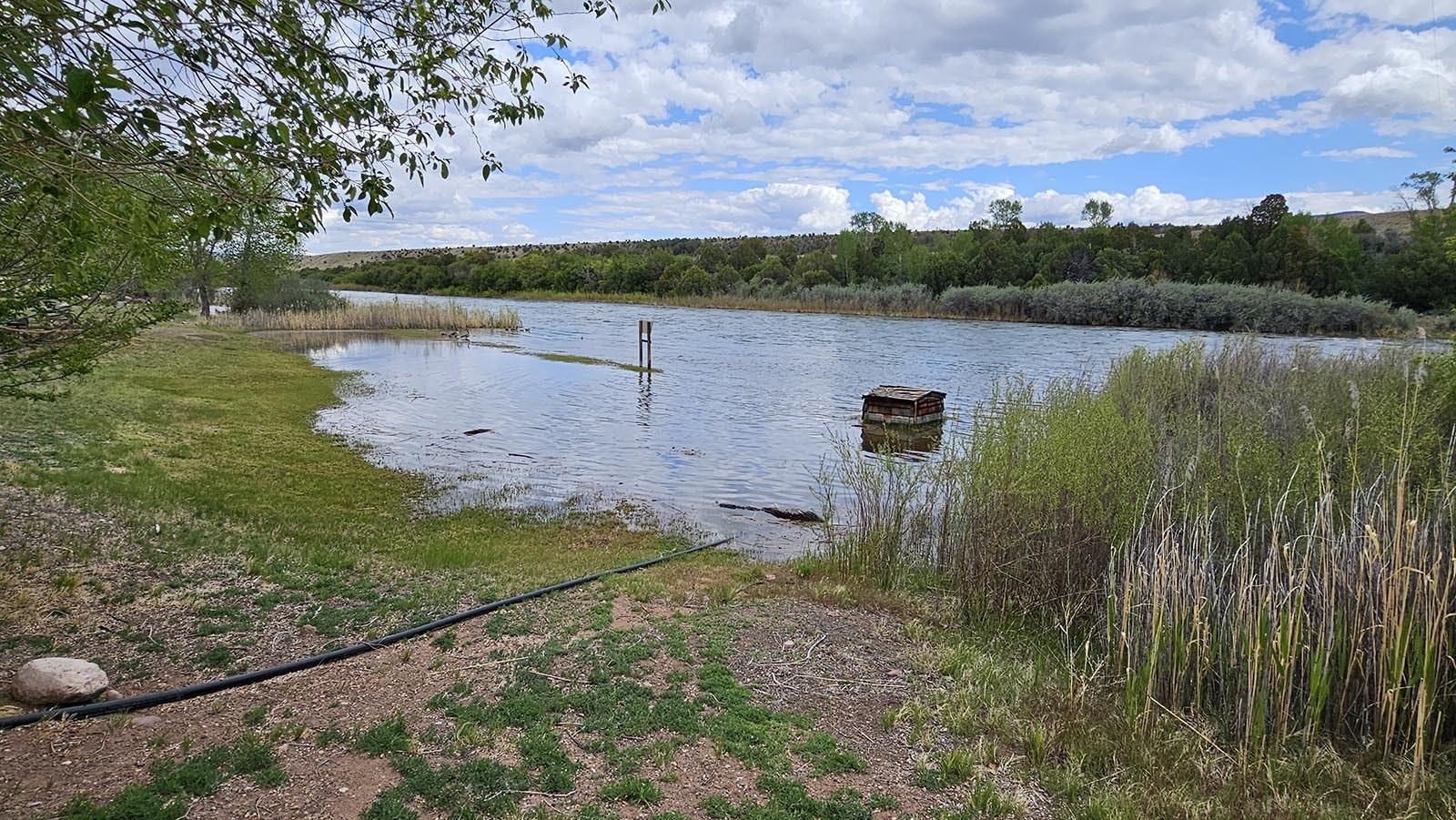 The Green River rises int he spring, flooding parts of the John Jarvie Ranch.