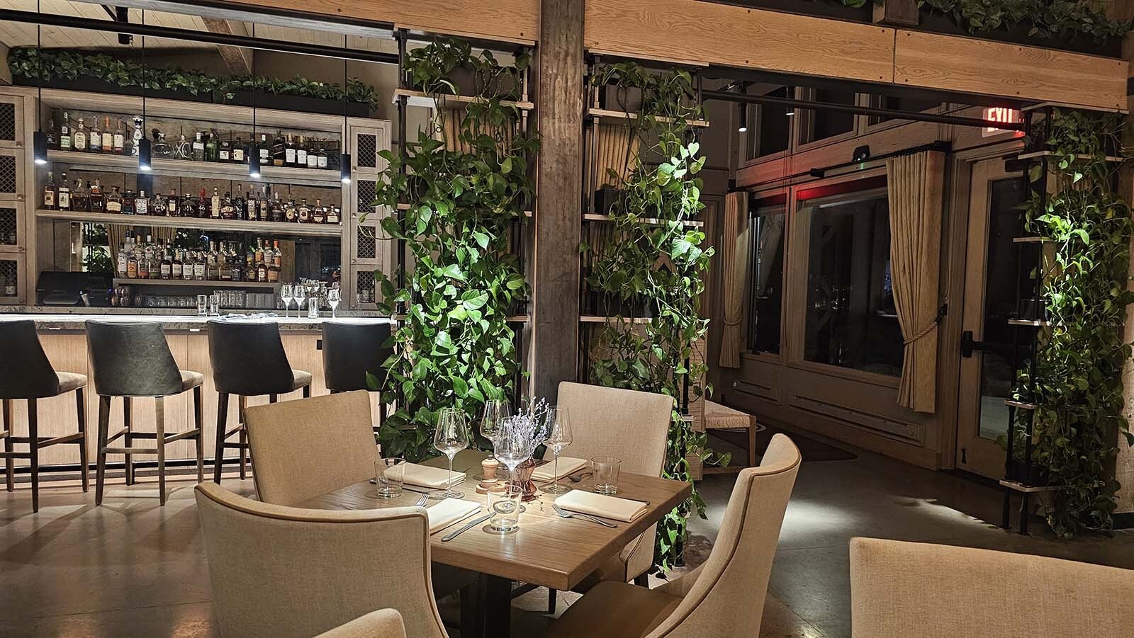 Philodendrons spill from planters set all around the Pioneer Kitchen, giving it a tropical feeling even in winter.