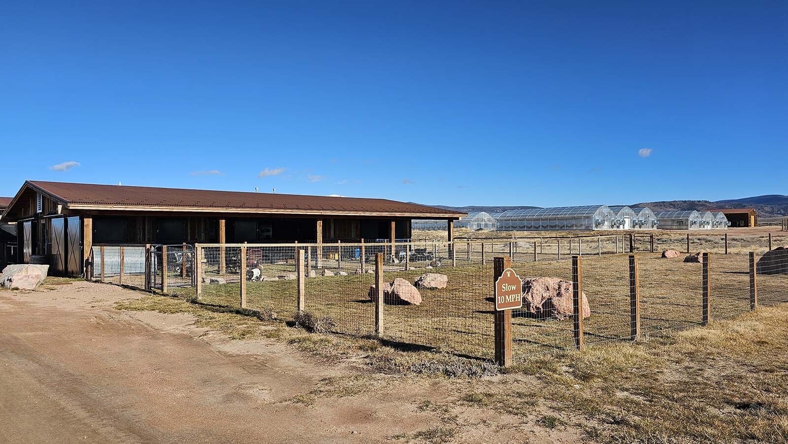 The goats live here, and the greenhouses are nearby, off in the distance.