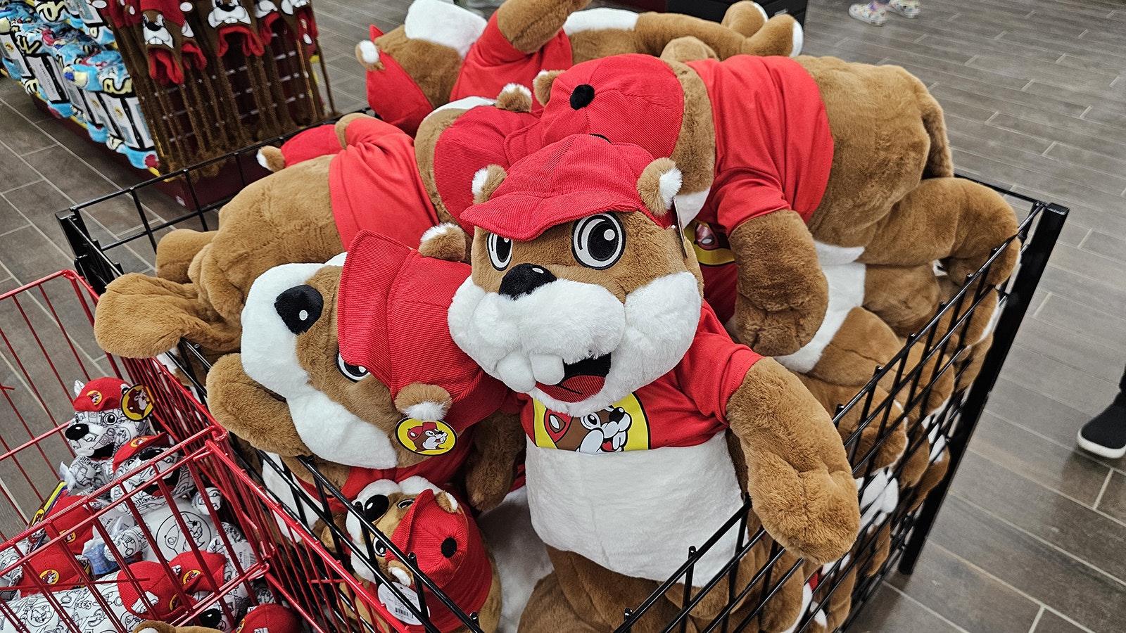 The plush Buc-ee's beaver mascot comes in all sorts of sizes.