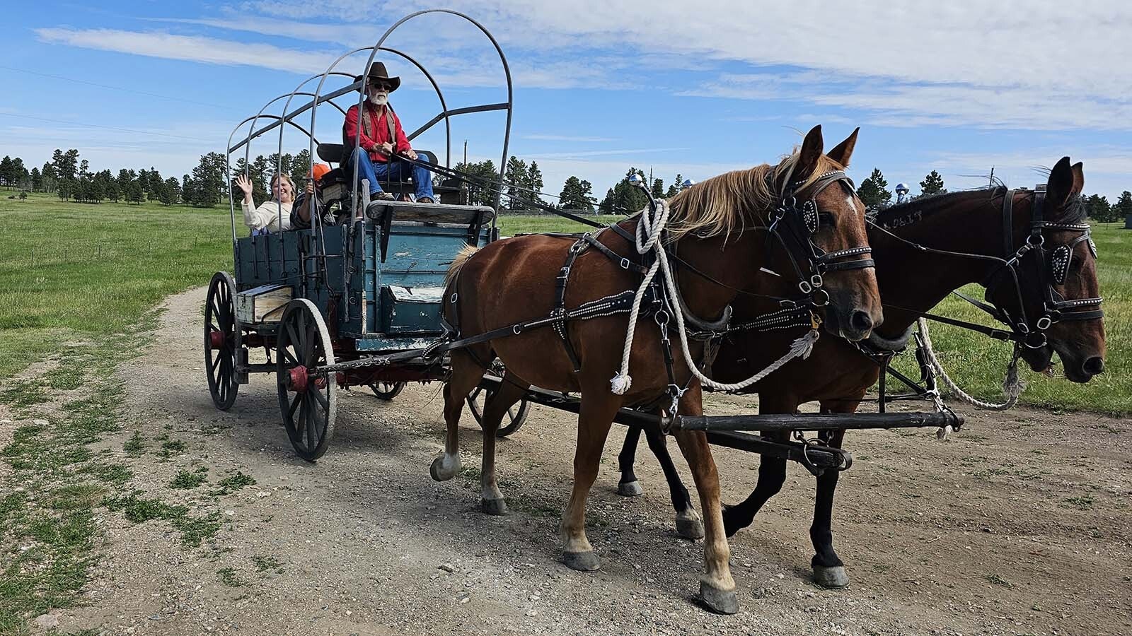 A horse and buggy brings guests in to the Esterbrook Church. Cars are parked a distance away, to leave room for those arriving the old fashioned way.