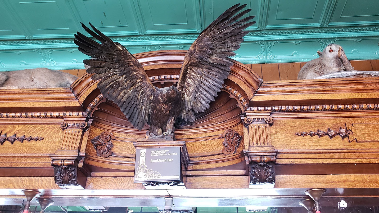 An eagle in midflight has soared over the buckhorn bar for decades.