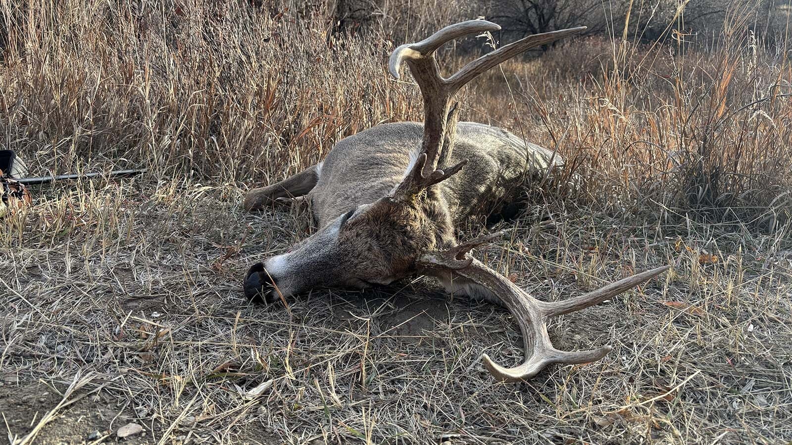 Buddy Gee, who is just shy of turning 82, shot this big white-tailed buck in Fremont County. He donated the meat to Wyoming First Lady Jennie Gordon’s Food From the Field program for the needy.