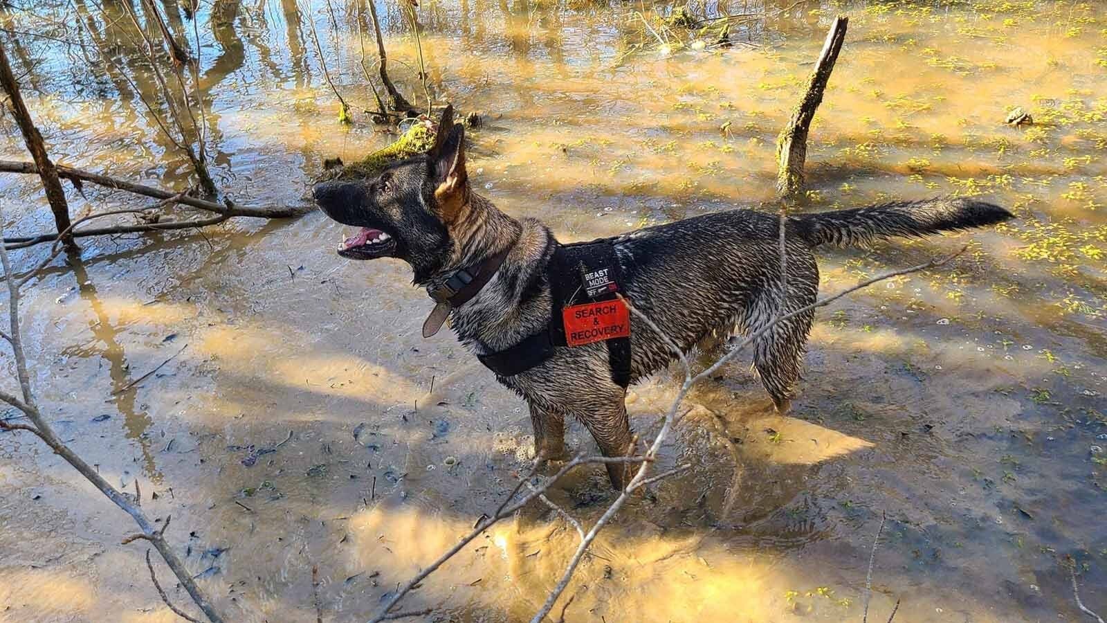 Bueno investigates an area covered in water as part of his mission.