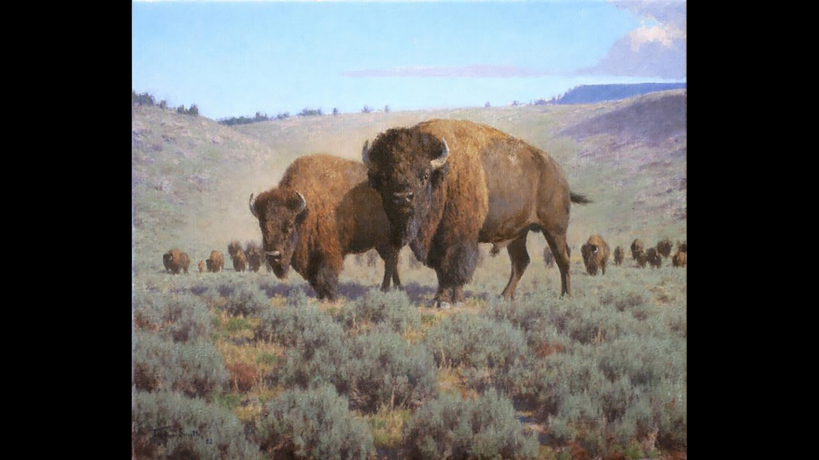 "Wyoming Buffalo,” a 20 x 24-inch oil painting by Tucker Smith, was auctioned off in the 41st Buffalo Bill Art Show and Sale in 2022. It was the highest-selling piece that year, earning $55,000.