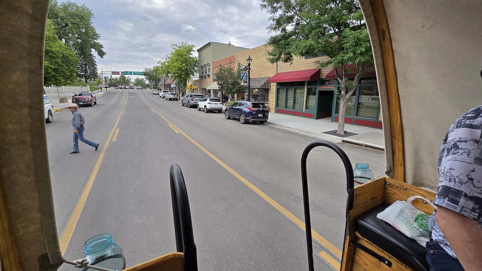 Buffalo framed by a wagon during the Moonhitch Wagon tour.