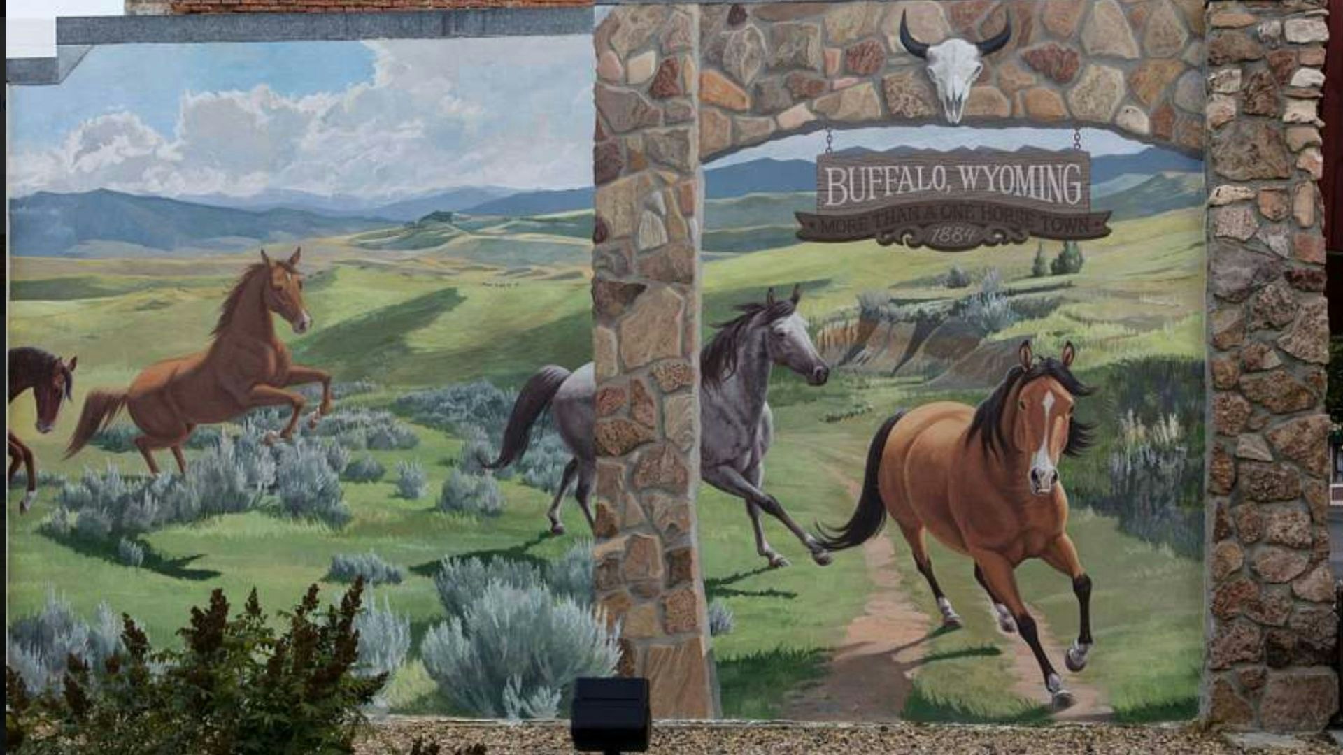Buffalo murals HORSE MURAL 4 30 23