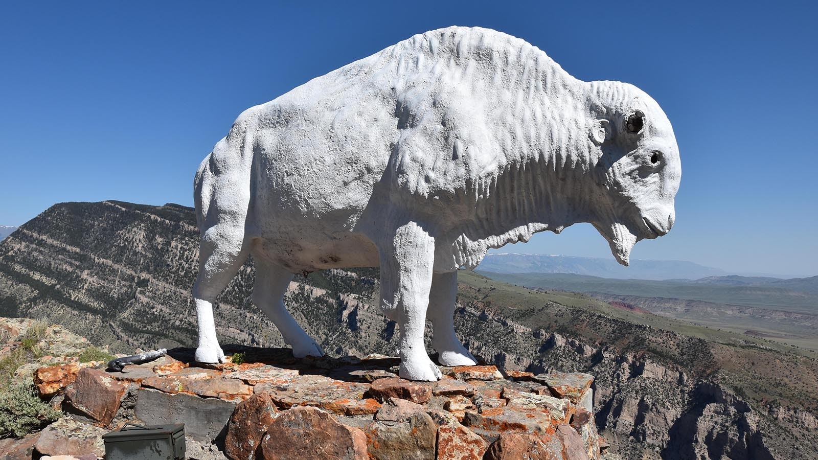 The fiberglass buffalo statue on Cedar Mountain overlooking Cody has been damaged and vandalized since its installation in 1968.