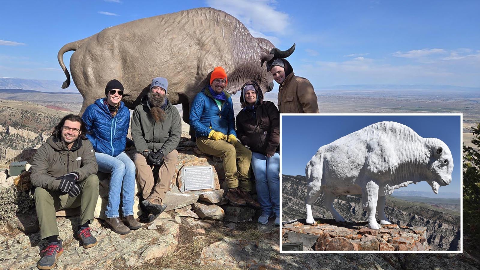 A buffalo on Cedar Mountain overlooking Cody has been restored to its original condition by a local group. The statue, which honors the town’s famous founder, Buffalo Bill Cody, was in bad shape after having been shot up and vandalized over the years.