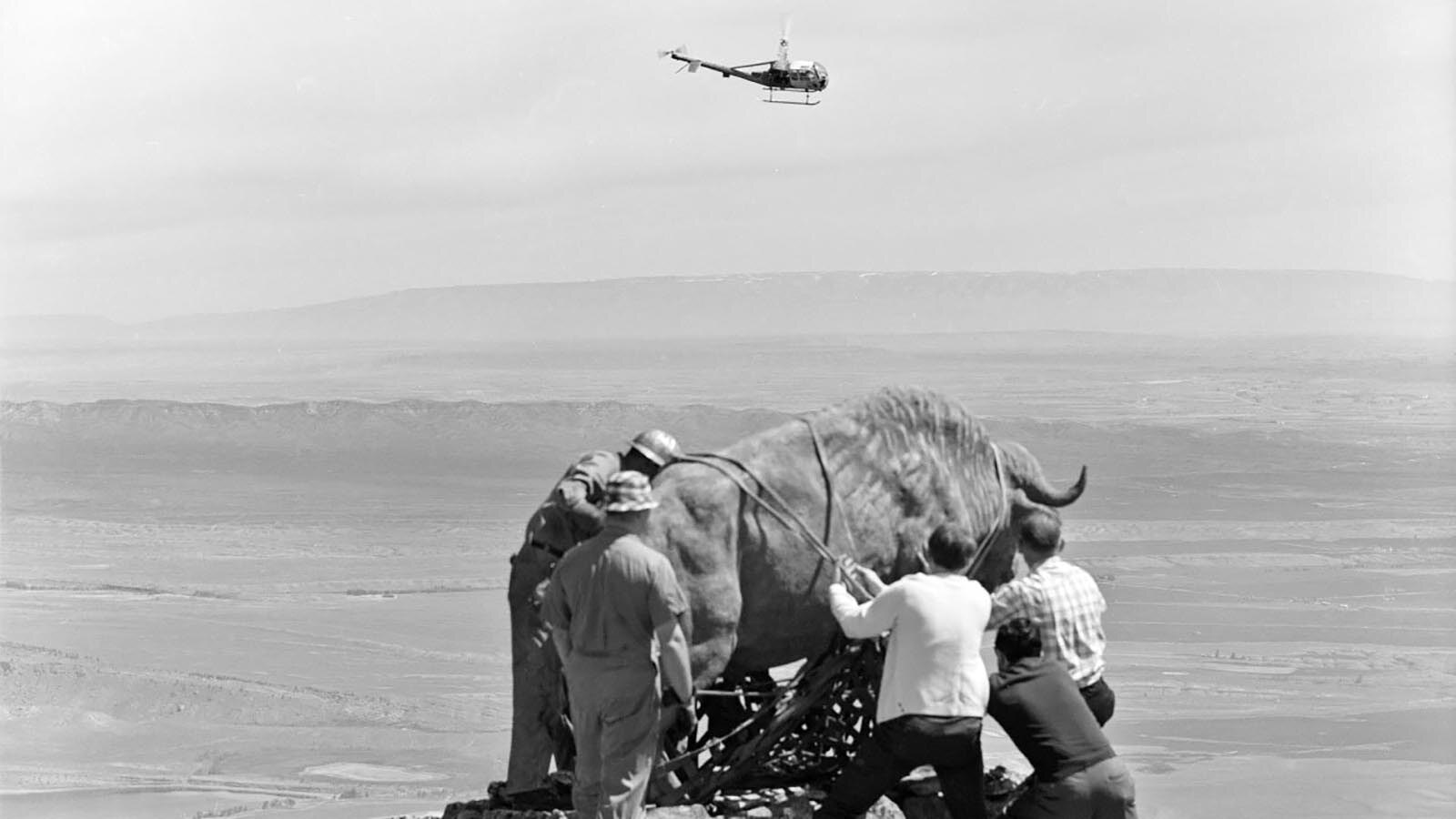 Men installing the buffalo statue in 1968 after it was lifted to its perch atop Cedar Mountain.