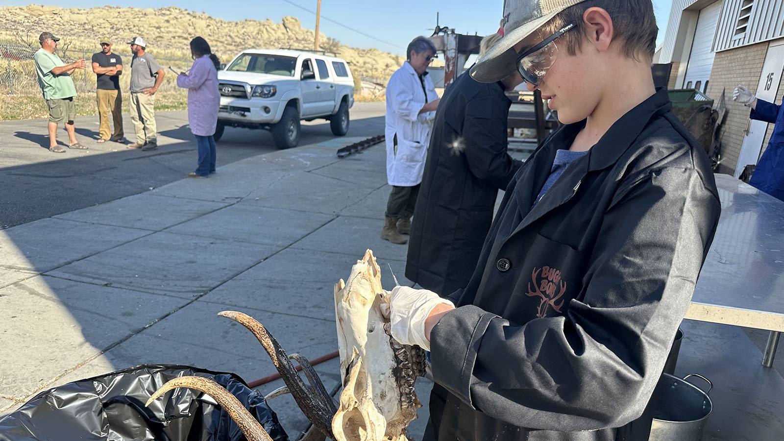 Freshman Eli Hill prepares to begin stripping an elk head at the Bugs ‘n Bones class in Pavillion, Wyoming. It is the first station new students work at before rotating through all the stations during their tenure in the class.