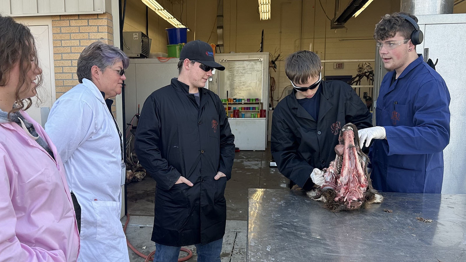 Senior Susannah Collette, teacher Jennifer Hammock, senior Kayden Sixberry, freshman Eli Hill and senior Keegan Spens at the skinning table. Freshman are assigned the skinning table their first semester and are supervised by their upper classmen.