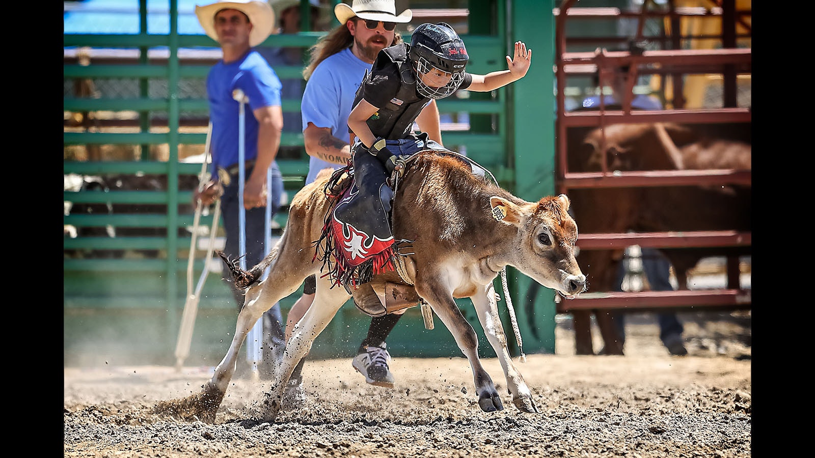 At Brahma Mama's Bucking Bulls Ranch in Worland, people can learn to ride a bull like a real Wyoming cowboy.