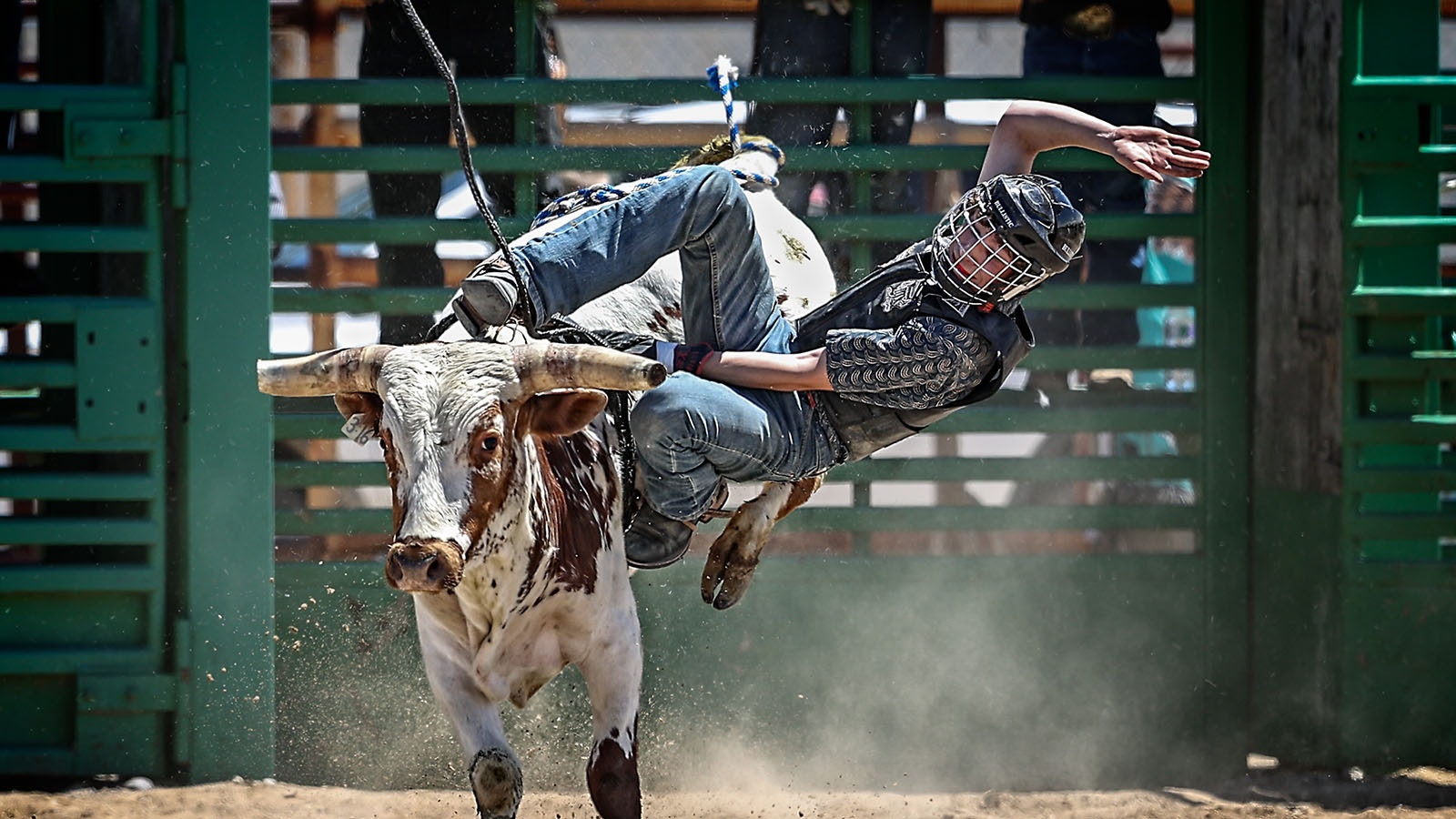 At Brahma Mama's Bucking Bulls Ranch in Worland, people can learn to ride a bull like a real Wyoming cowboy.