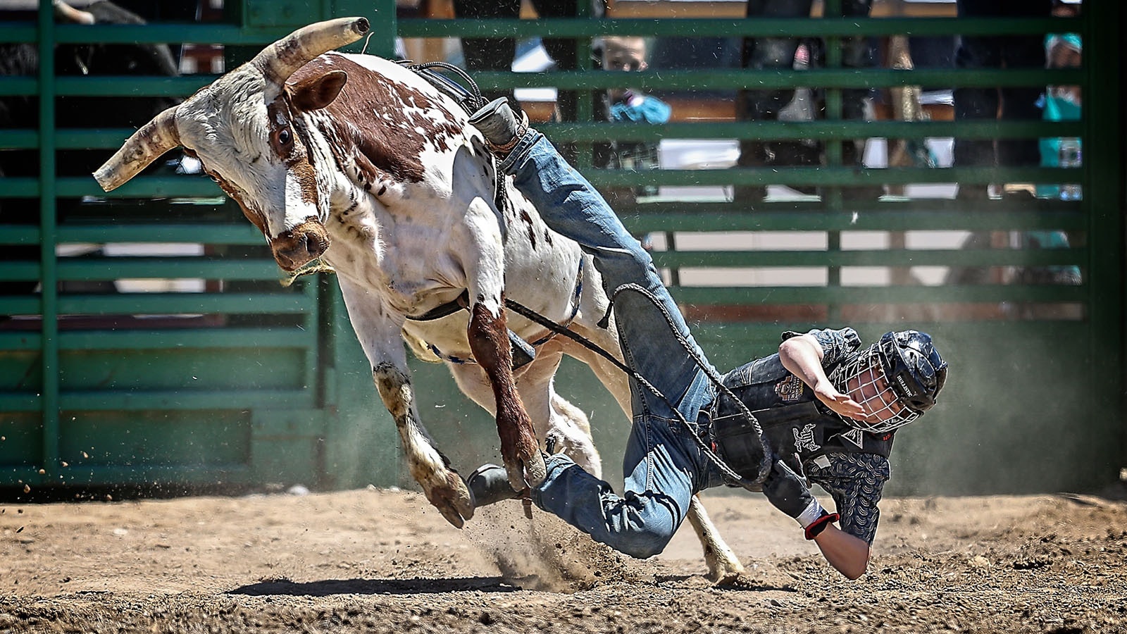 At Brahma Mama's Bucking Bulls Ranch in Worland, people can learn to ride a bull like a real Wyoming cowboy.