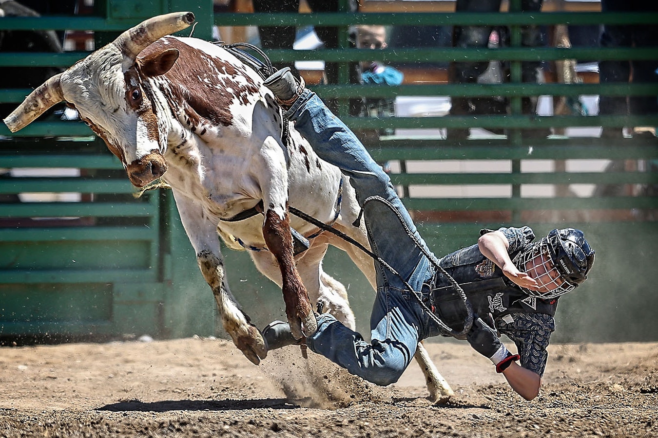 Renée Jean | Cowboy State Daily